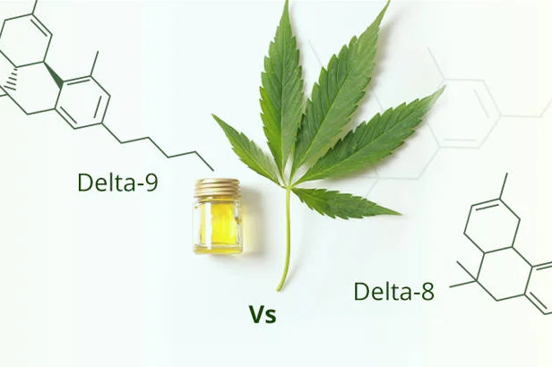 What is Delta-9 THC and How Is It Different Than Delta-8?